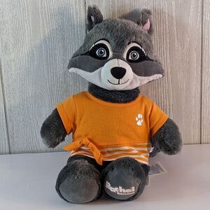 Build a Bear Rare Rachel Raccoon great Wolf Lodge Plush EUC Clothed